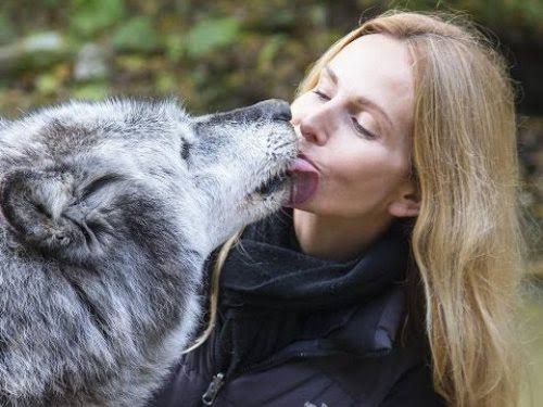 2 Wolf One Girl Viral Video: Full Story Behind the Trending Clip