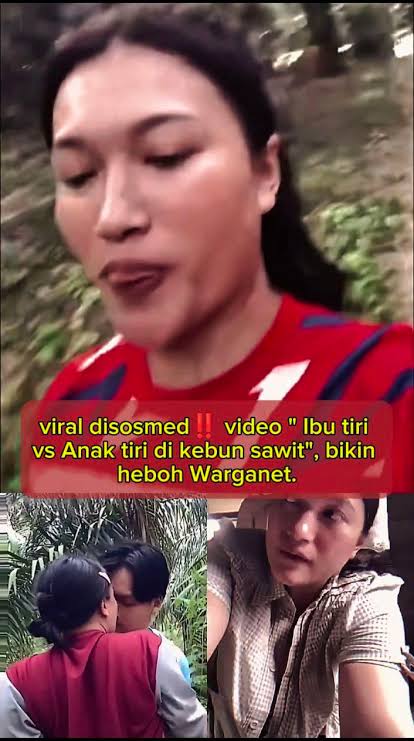 Video Viral Kebun Sawit , Video Viral Video Di Kebun Sawit
